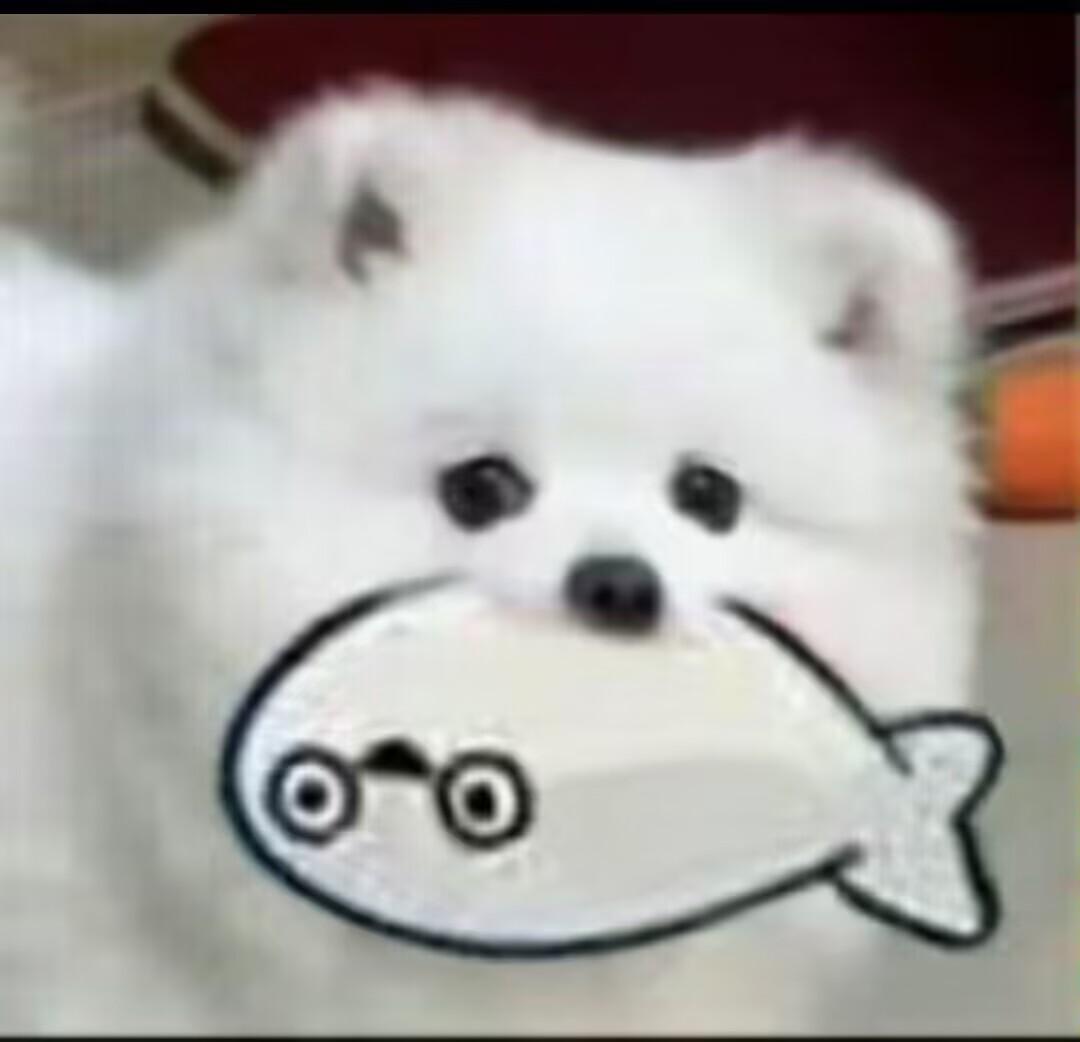 李林歌